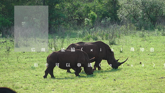 信用卡能協(xié)商停息掛賬嗎-欠信用卡可以申請(qǐng)停息掛賬嗎
