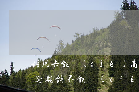 信用卡能協(xié)商停息掛賬嗎(信用卡逾期能不能協(xié)商停息掛賬)