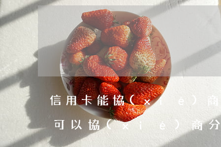 信用卡能協(xié)商分期嗎嗎(欠信用卡可以協(xié)商分期還款嗎)