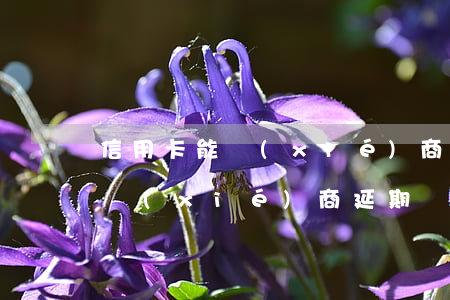 信用卡能協(xié)商延期嗎-信用卡能協(xié)商延期嗎