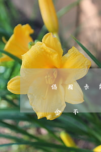信用卡能只償還本金么(欠信用卡可以只還本金不還利息嗎)