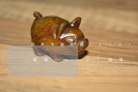 信用卡能否協(xié)商還本金(欠信用卡能協(xié)商嗎)