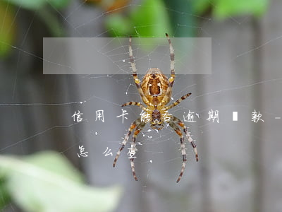信用卡能否逾期還款-信用卡能否逾期還款怎么查