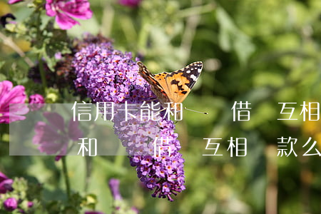 信用卡能和螞蟻借唄互相還款么-信用卡能和螞蟻借唄互相還款么嗎