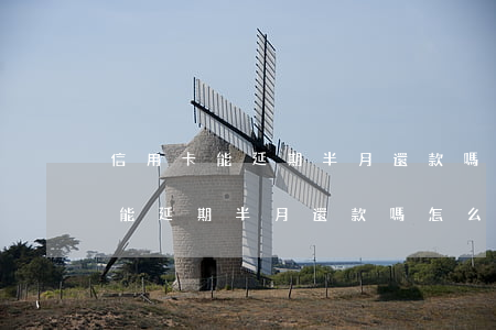 信用卡能延期半月還款嗎怎么操作-信用卡能延期半月還款嗎怎么操作的