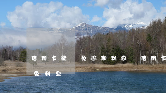 信用卡能減免逾期利息嗎(信用卡逾期可以減免利息嗎)