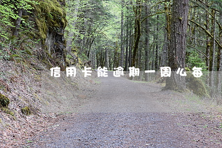 信用卡能逾期一周么(每個月信用卡逾期三天)
