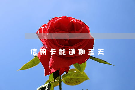 信用卡能逾期三天嗎