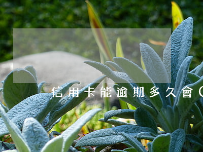 信用卡能逾期多久會(huì)坐牢