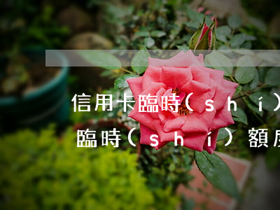 信用卡臨時(shí)額度不還行不行(信用臨時(shí)額度還了可以繼續(xù)申請嗎)