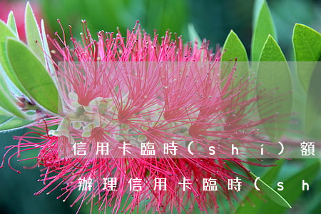信用卡臨時(shí)額度到期還不上怎么辦理(信用卡臨時(shí)額度有效期到了必須還嗎)
