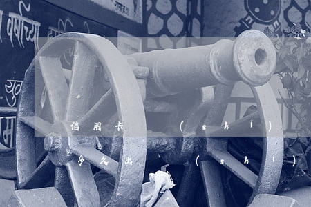 信用卡臨時(shí)額度逾期在那查(逾期多久出臨時(shí)額度)