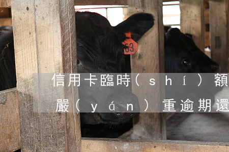 信用卡臨時(shí)額度逾期已還(信用卡嚴(yán)重逾期還清額度還在)