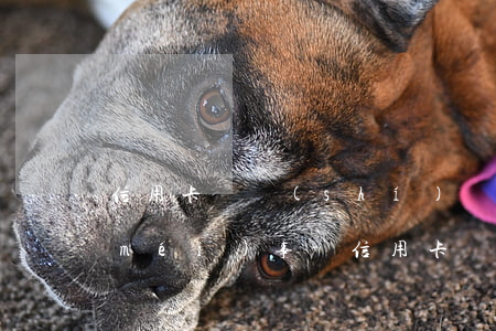 信用卡臨時(shí)額度逾期幾天還沒(méi)事-信用卡臨時(shí)額度逾期幾天還沒(méi)事怎么辦
