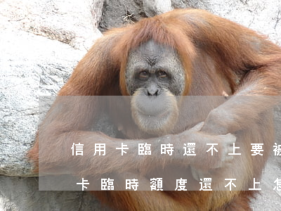 信用卡臨時還不上要被起訴怎么辦-欠信用卡臨時額度還不上怎么辦