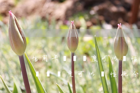 信用卡臨時額度可以個性化分期嗎-信用卡臨時額度可以個性化分期嗎