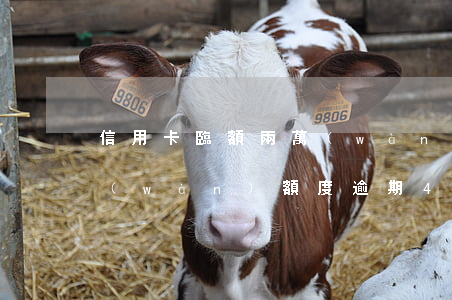 信用卡臨額兩萬(wàn)逾期(信用卡1萬(wàn)額度逾期4個(gè)月)