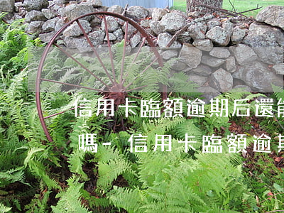信用卡臨額逾期后還能協(xié)商還款嗎-信用卡臨額逾期后還能協(xié)商還款嗎知乎