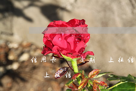 信用卡臨額逾期會上征信嗎(銀行逾期半個月會上征信嗎)