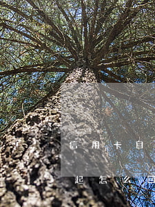 信用卡自动扣费还不起(信用卡自动扣费还不起怎么回事)