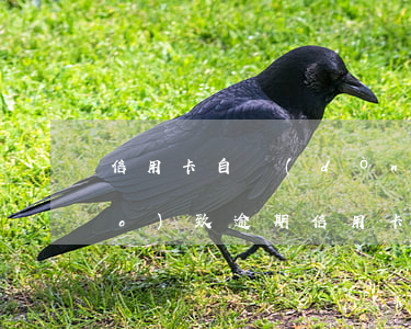 信用卡自動(dòng)換卡失敗導(dǎo)致逾期(信用卡逾期)