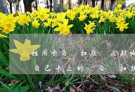 信用卡自動扣款會逾期嘛(信用卡逾期后會將自己卡上的錢自動扣款嗎)