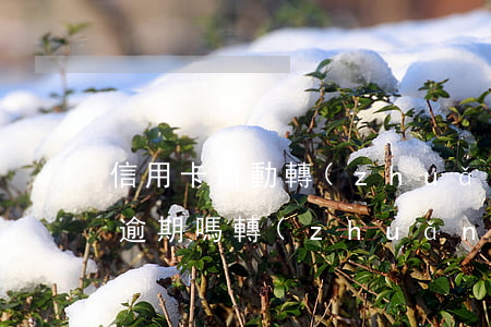 信用卡自動轉(zhuǎn)賬扣不成功是逾期嗎(轉(zhuǎn)賬到已過期不用的信用卡里)