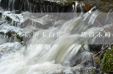 信用卡自定義還款算不算逾期(還信用卡怎么算逾期)