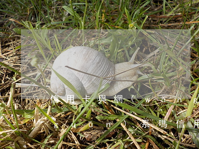 信用卡與網(wǎng)貸全線逾期有關(guān)系嗎（信用卡與網(wǎng)貸全線逾期）