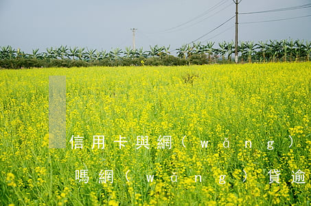 信用卡與網(wǎng)貸逾期會查封房子嗎(網(wǎng)貸逾期會查封名下貸款的房產(chǎn)嗎)