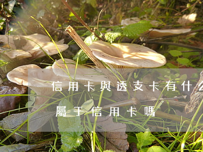 信用卡與透支卡有什么區(qū)別(透支卡屬于信用卡嗎)