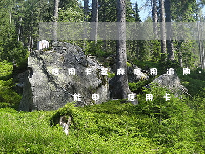 信用卡芝麻信用逾期-芝麻信用有逾期記錄還能申請信用卡嗎