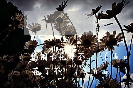 信用卡花了不還會(huì)怎么樣(信用卡花了不還會(huì)怎么樣)