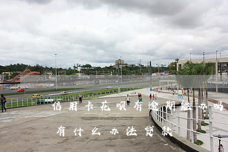 信用卡花呗有逾期能办吗(花呗信用卡逾期还有什么办法贷款)
