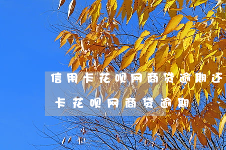 信用卡花呗网商贷逾期还能做担保人么（信用卡花呗网商贷逾期）