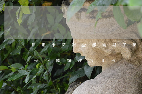 信用卡花唄全部逾期了(花唄有逾期記錄是不是不能辦理信用卡)