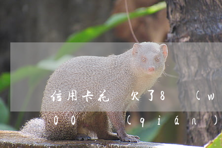信用卡花唄欠了8萬(wàn)(花唄欠了800塊錢(qián)如果長(zhǎng)期不還怎么樣)