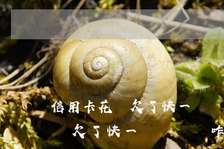 信用卡花唄欠了快一萬沒錢還咋辦(信用卡花唄欠了快一萬沒錢還咋辦)