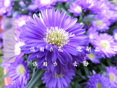 信用卡花唄逾期2年限是多少-花唄逾期了信用卡會受影響嗎