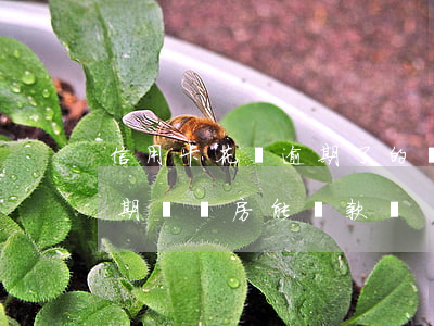 信用卡花唄逾期了的貸錢(花唄借唄信用卡逾期過,買房能貸款嗎)