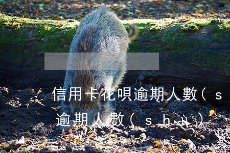 信用卡花唄逾期人數(shù)(信用卡花唄逾期人數(shù))
