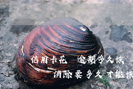 信用卡花唄逾期多久恢復(fù)(花唄逾期記錄消除要多久才能恢復(fù)信用)