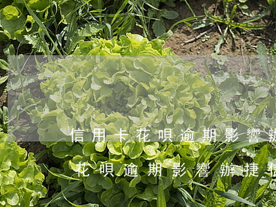 信用卡花唄逾期影響辦捷信分期嗎-信用卡花唄逾期影響辦捷信分期嗎