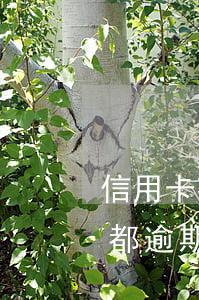 信用卡花唄都逾期快承受不住了(信用卡花唄都逾期快承受不住了)