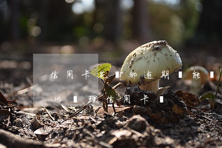 信用卡花唄都逾期還能辦什么(花唄逾期過可以辦理信用卡嗎)