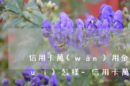 信用卡萬(wàn)用金逾期10天會(huì)怎樣-信用卡萬(wàn)用金逾期10天會(huì)怎樣處理