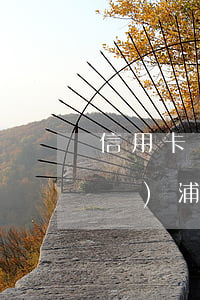 信用卡萬(wàn)用金逾期一年浦發(fā) 浦發(fā)萬(wàn)用金疑似用于還信用卡