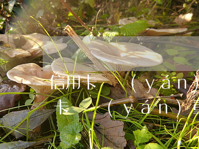 信用卡萬嚴(yán)重宇逾期了咋辦(信用卡萬嚴(yán)重宇逾期了咋辦)