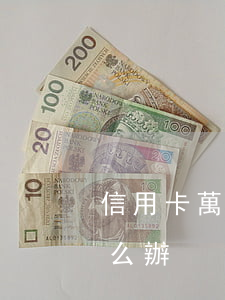 信用卡萬用金無力償還(萬用金無力償還了怎么辦)