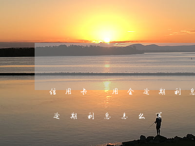 信用卡萬用金逾期利息怎么算(信用卡萬用金逾期利息怎么算)